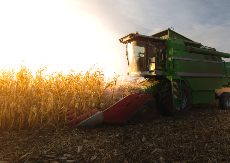 Tendências em Direito do Agronegócio em Goiânia